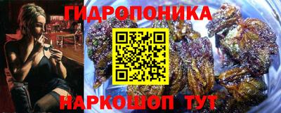 сатива Лесосибирск